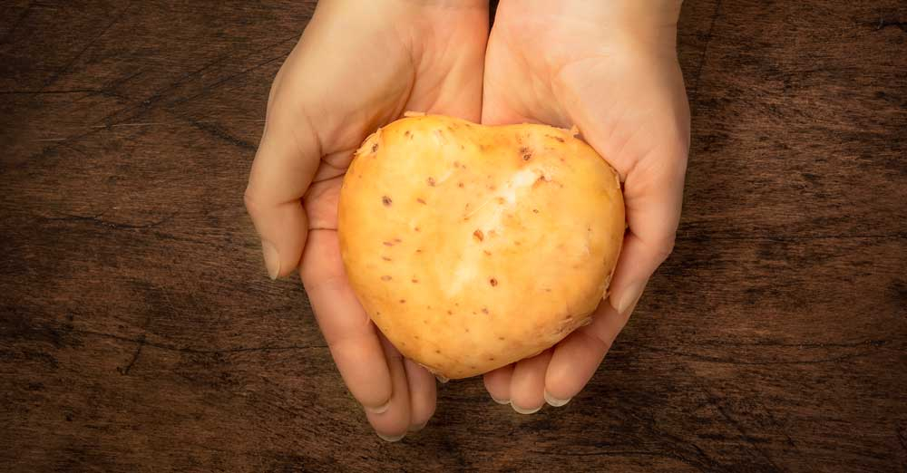 Krumpli VS rizs diéta alatt: győzzön a jobbik – Diéta Pláza