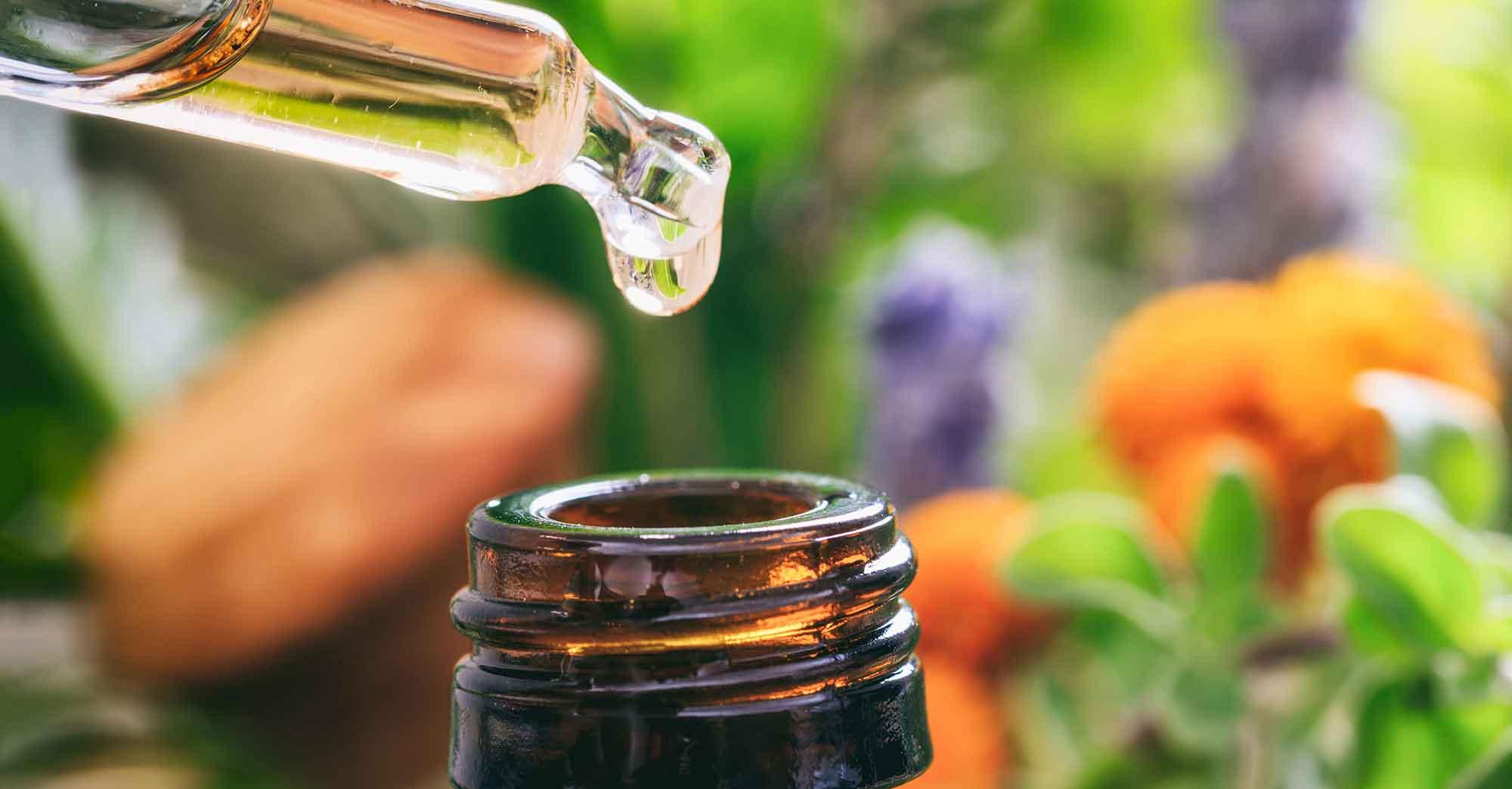 Korszakalkotó magyar fejlesztés – Diéta Pláza